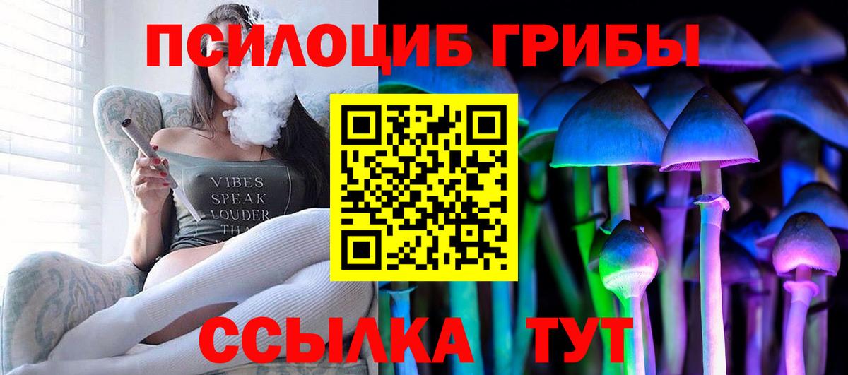 Галлюциногенные грибы Psilocybe Нерюнгри